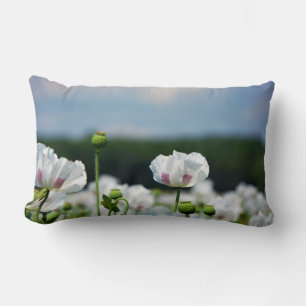 Flower field, Papaver somneferum poppy flower. Lumbar Cushion