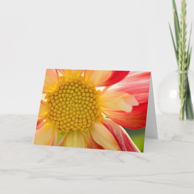 Flower Fire greeting card (Front)