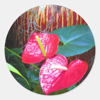 Flower Floral photos from Longwood Gardens Classic Round Sticker