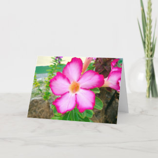 Flower Floral Pink Tropical Thank You 12320 Card