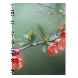 Flower flowers quince bush spring notebook