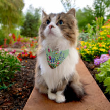 Flower Garden