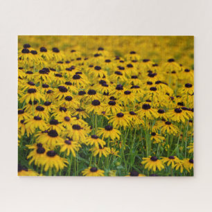 Flower Garden - 16x20 - 520 pcs Jigsaw Puzzle