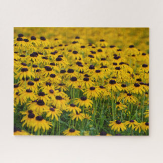 Flower Garden - 16x20 - 520 pcs Jigsaw Puzzle
