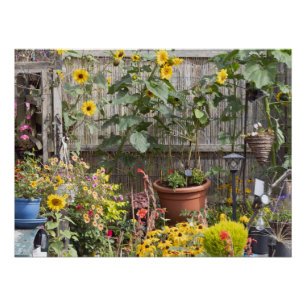 Flower garden and narrow boat poster