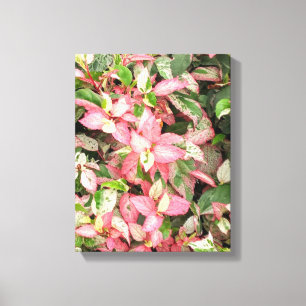 Flower Garden Art Canvas Print