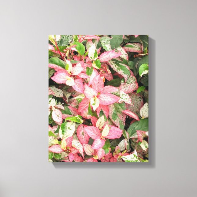 Flower Garden Art Canvas Print (Front)