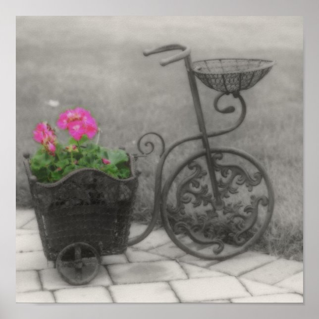 Flower Garden Bicycle Black White Partial Color Poster (Front)