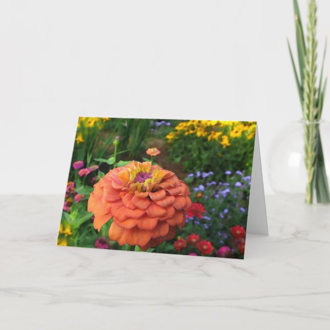 Flower Garden Colours Card (Front)