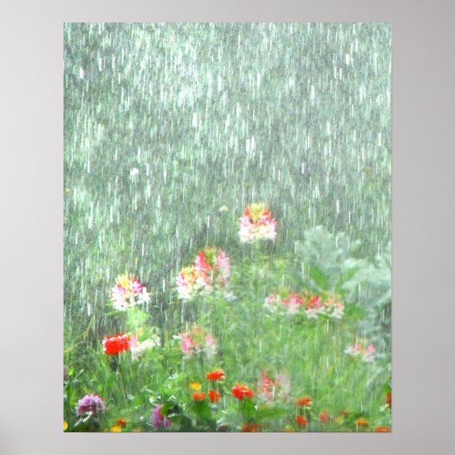 Flower Garden in the Rain Poster (Front)