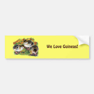 Flower Garden Keets Bumper Sticker