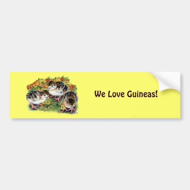 Flower Garden Keets Bumper Sticker (Front)