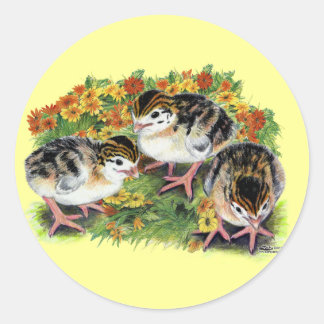 Flower Garden Keets Classic Round Sticker