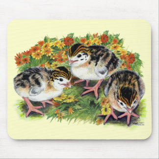 Flower Garden Keets Mouse Pad