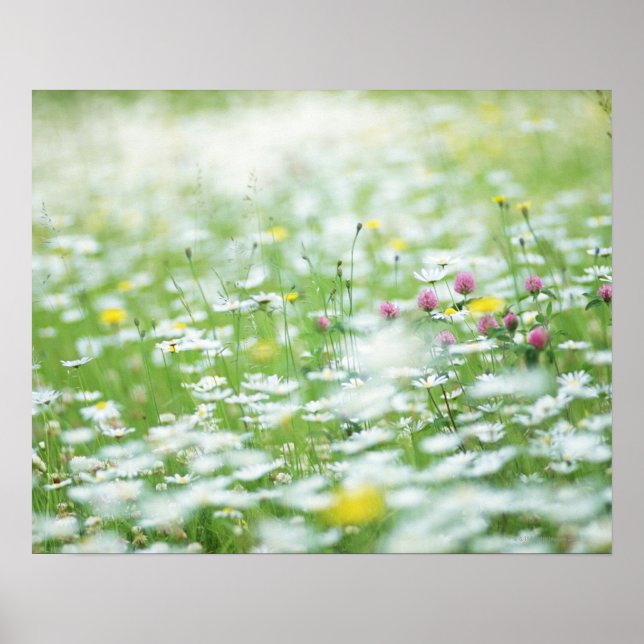Flower garden poster (Front)