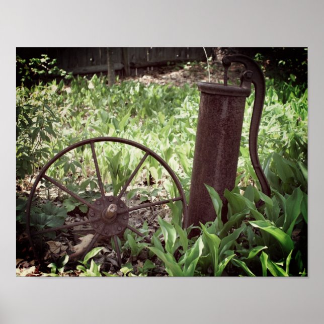 Flower Garden Rusty Wheel And Pump  Poster (Front)