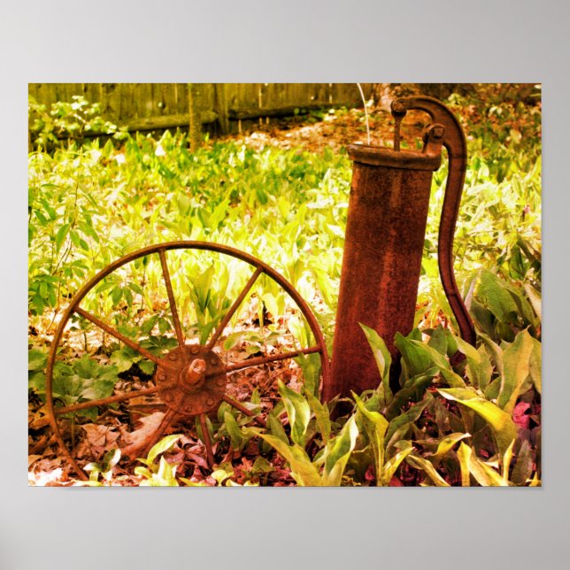 Flower Garden Rusty Wheel And Pump Tinted Poster (Front)