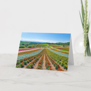 Flower Garden   Shikisai No Oka Flower Farm Card