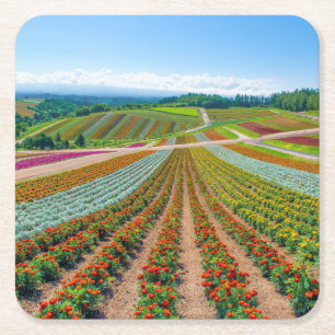 Flower Garden Shikisai No Oka Flower Farm Square Paper Coaster