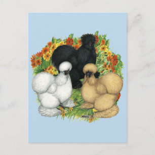 Flower Garden Silkies Postcard
