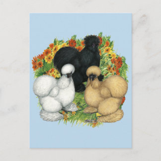 Flower Garden Silkies Postcard