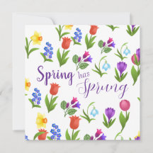 Flower Garden Spring Has Sprung