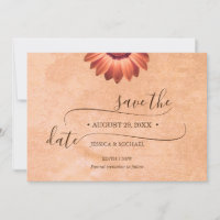 Flower Gerbera on Abstract peach Wedding