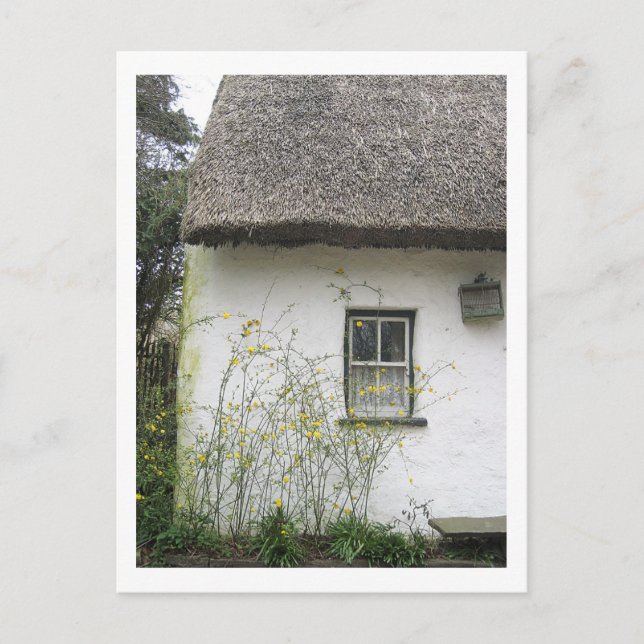 Flower House Postcard (Front)