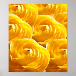 Flower-Impressions I Poster
