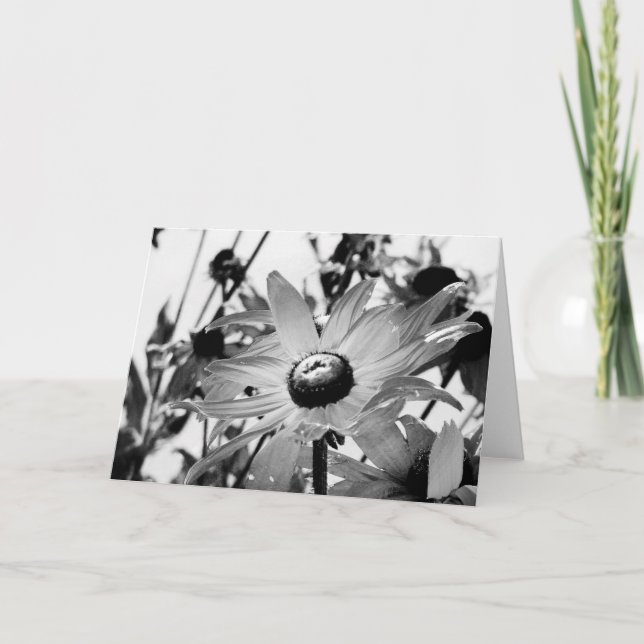 Flower in Black and White Card (Front)