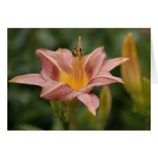 Flower in bloom customisable card