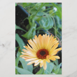 Flower in Leaves Two Stationery