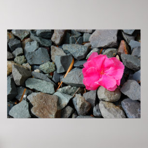 "Flower in the Rough" poster