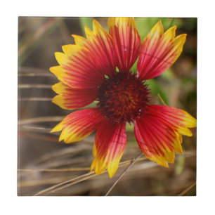 Flower in the Wind Tile