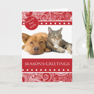 Flower Jungle season's Greetings Holiday Card