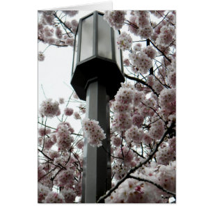 Flower Lamp