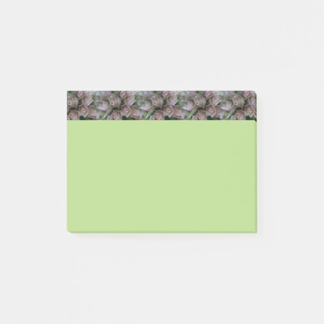 Flower Love Pink Roses Spring Green Post it notes (Front)