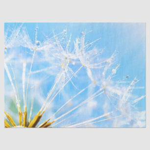 Flower Lover   Beautiful Dandelion Flower Tissue Paper