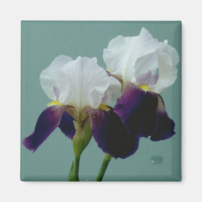 Flower Magnet (Front)
