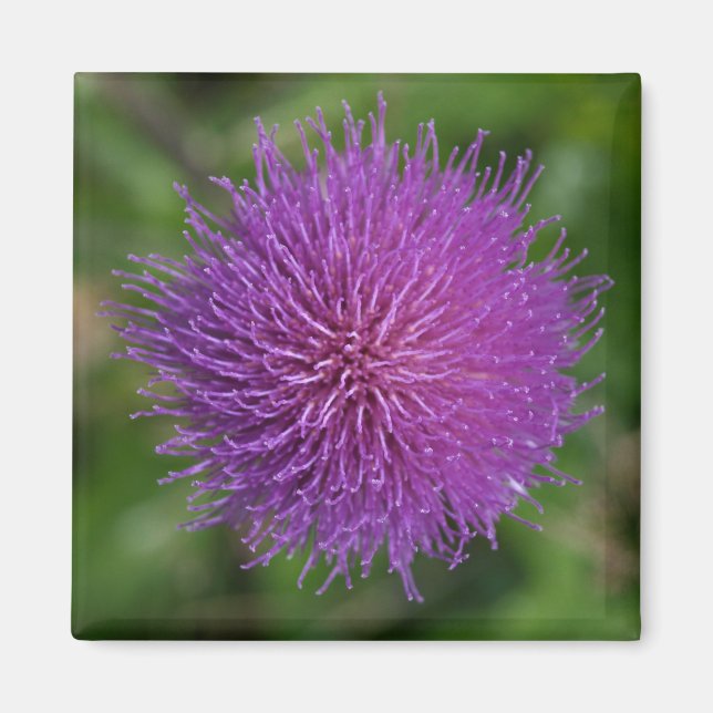 Flower Magnet (Front)