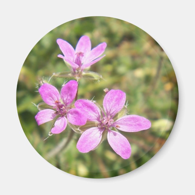 Flower Magnet (Front)