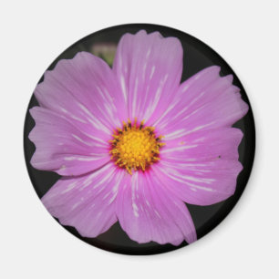 Flower Magnet