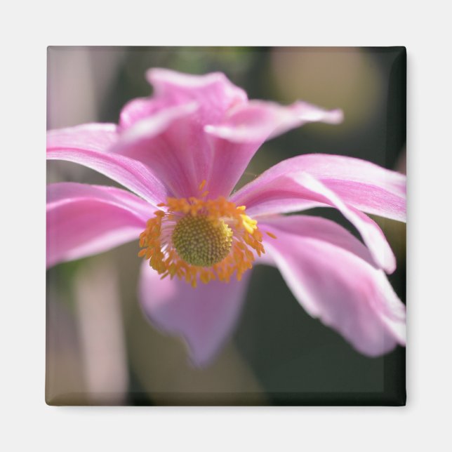 Flower Magnet (Front)