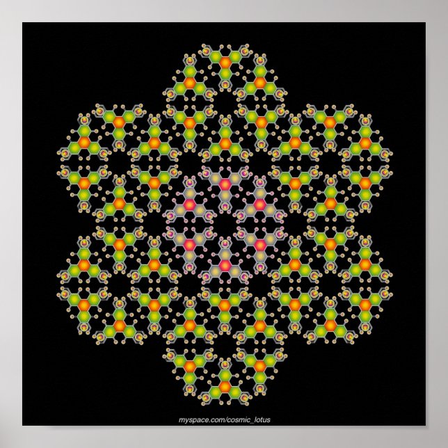 Flower Molecule Poster (Front)