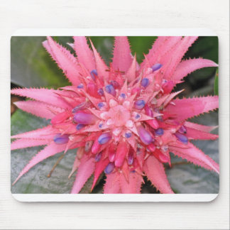 flower mouse pad
