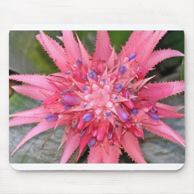 flower mouse pad (Front)