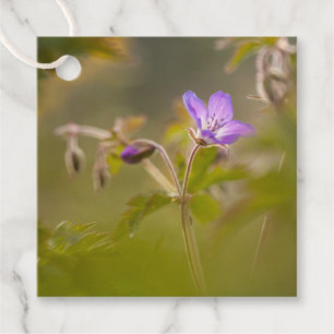 Flower Nature Photo Favour Tags