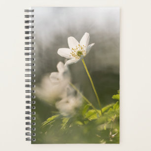 Flower Nature Photo Planner