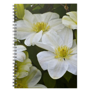 Flower Notebook