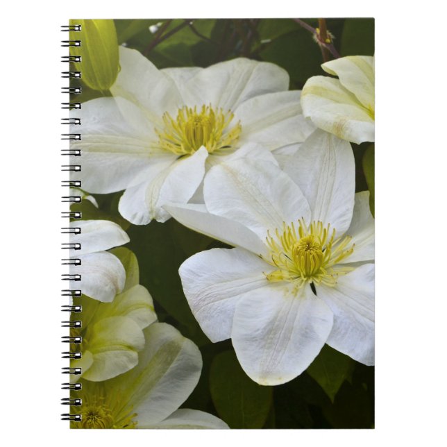 Flower Notebook (Front)